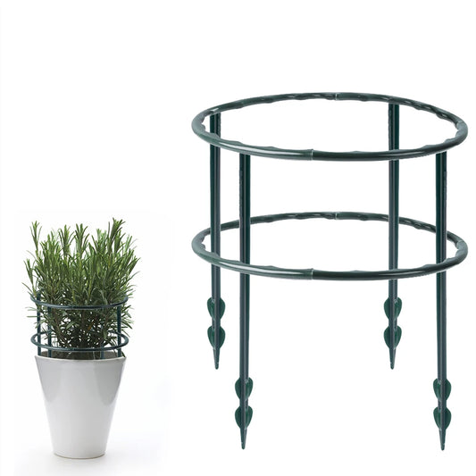 supporto  piante Fiore