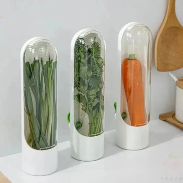 Scatola  conservazione