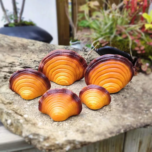 Tronchi Magici Ganoderma